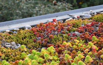 the cost of Blithbury green roof installation