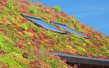 Blithbury living roof systems