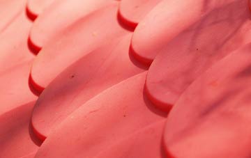 Blithbury plastic roof costs